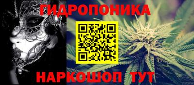 амф Гусь-Хрустальный