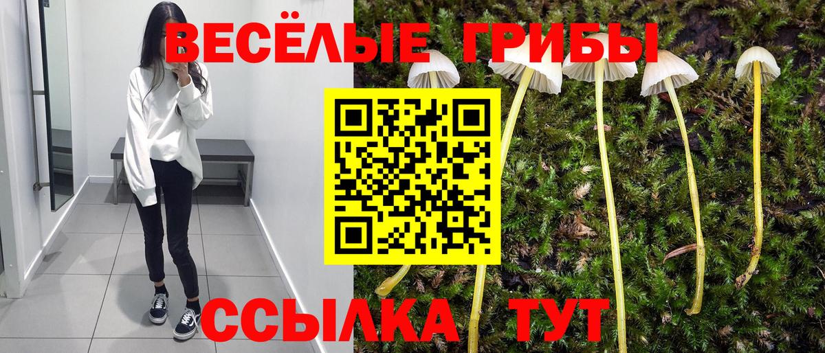 Псилоцибиновые грибы Magic Shrooms  Вход с VPN  Мыски 