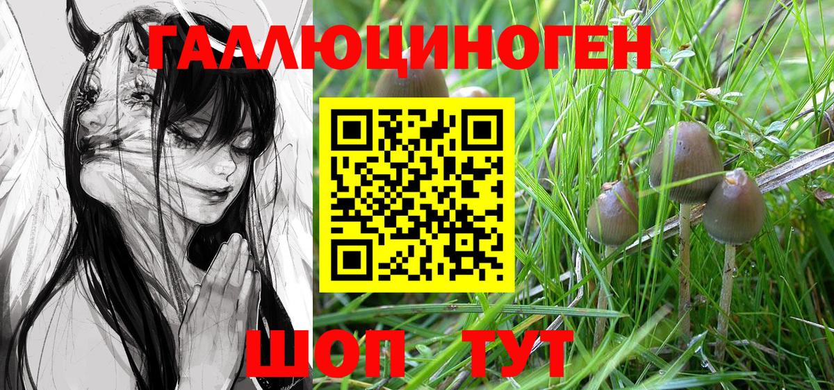 Галлюциногенные грибы ЛСД Мыски